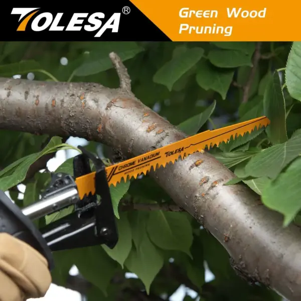 TOLESA 10PC Multi-Purpose Reciprocating Blades - Image 6