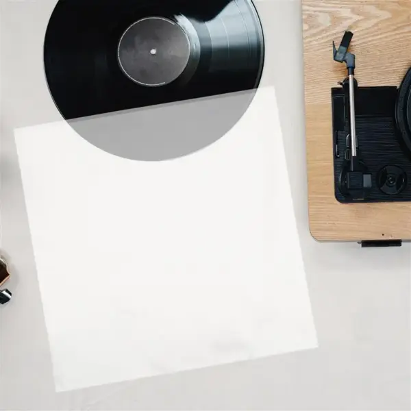 30 Vinyl Record Outer Sleeves for Protection - Image 4