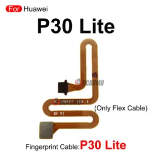 S741c768dce314b5ca4292dd079532877i