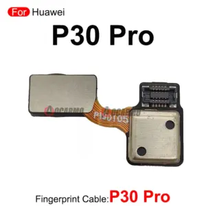 S7ea9f3863a794176a18df32c502047da1 1