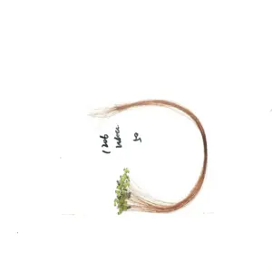 S89d9a0866bb24c3fbe24766c0e9bda56b