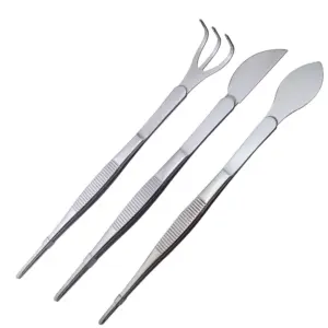 2-in-1 Stainless Steel Bonsai Rake and Tweezers 14 S8ae3f80b08c342a6b7e8b9e102b475afD