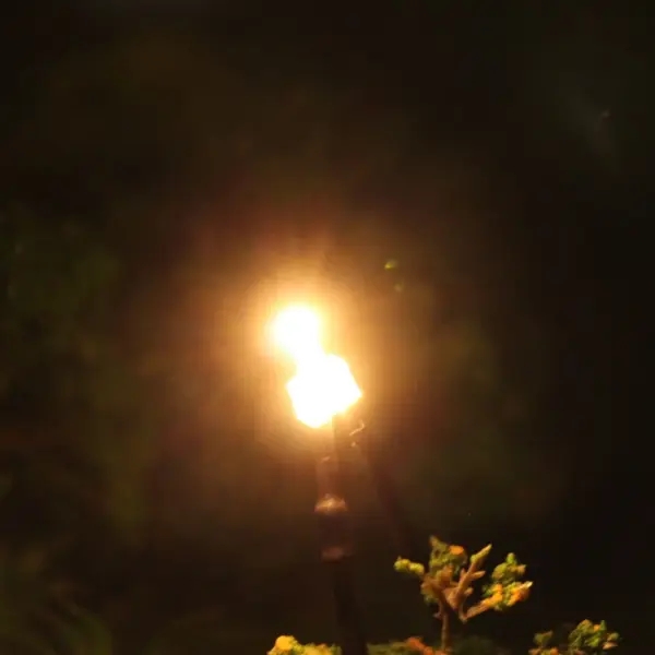 20pcs Pre-Wired 2mm LED Light Set 12V - Image 10