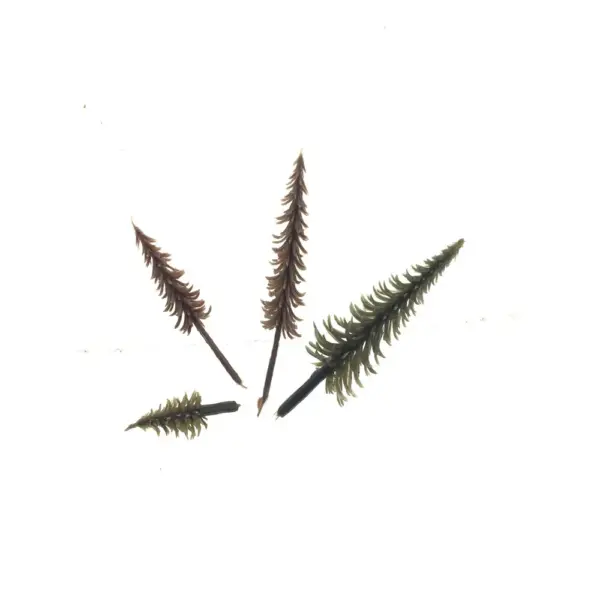 100pcs Miniature Pine Trees for Scenery Diorama - Image 2