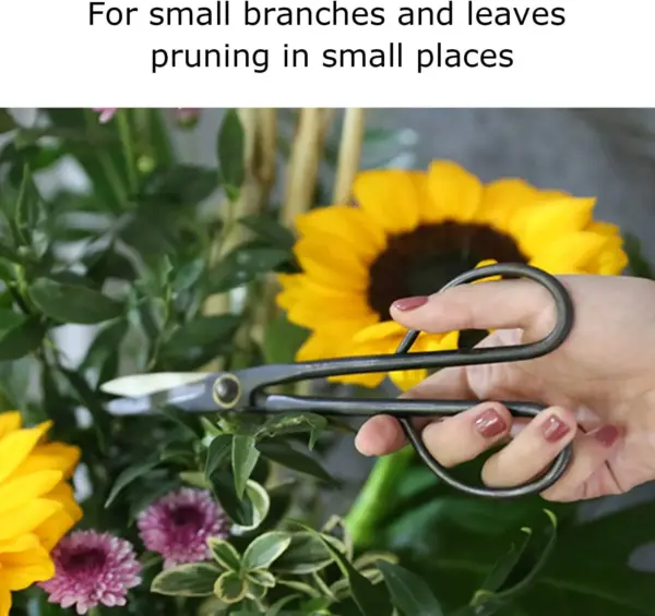 Long Handle Pruning Shears for Bonsai Gardening - Image 6