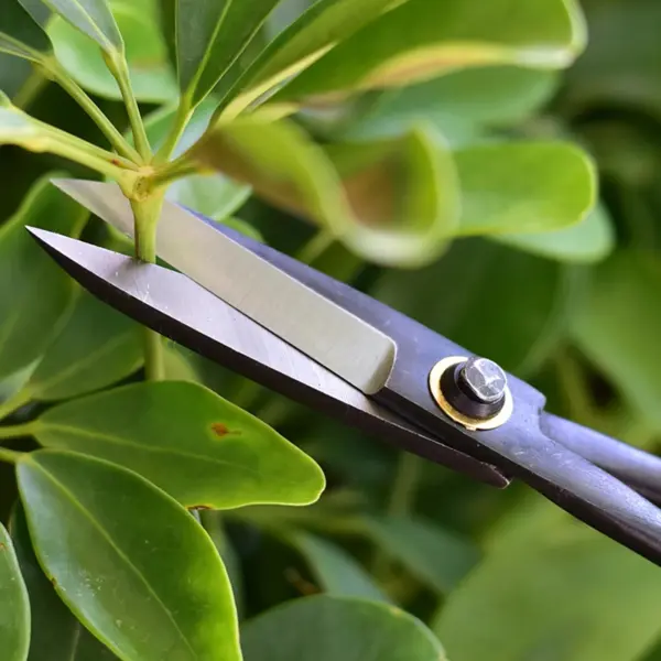 Long Handle Pruning Shears for Bonsai Gardening - Image 4