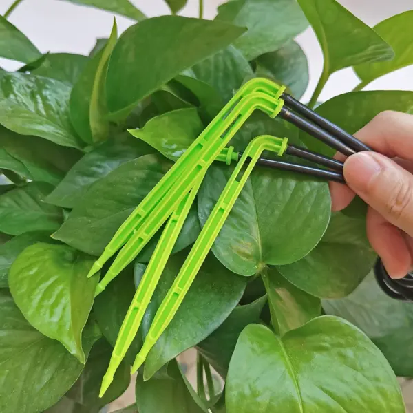 Green Drippers 1/8 inches for Micro Drip Systems - Image 4