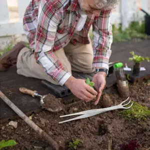 2-in-1 Stainless Steel Bonsai Rake and Tweezers 18 Sbbedae1462a44a3dbb0e075f1cdf0d4eo