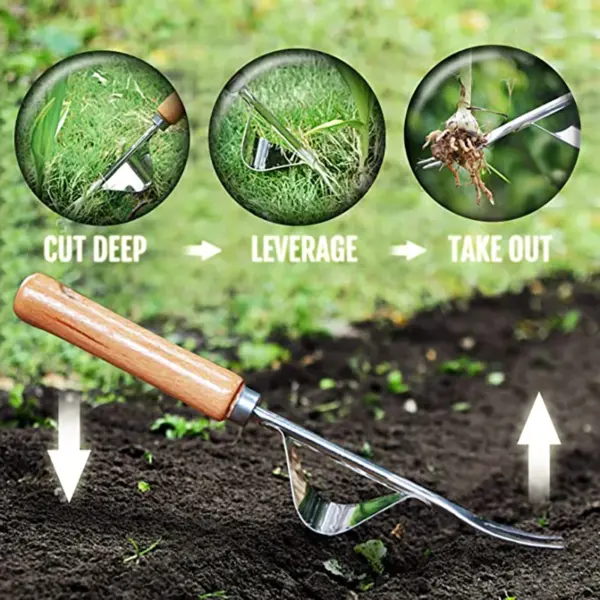 Stainless Steel Hand Weeder with Wooden Handle - Image 2