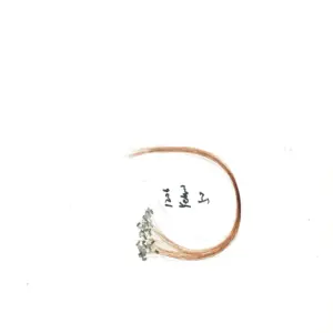 Se6bae78d3a59447ca54ddd06b5bc657cM