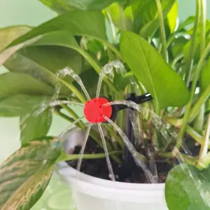 Secd9936d65f0435184ea264e1eb2ffcaS