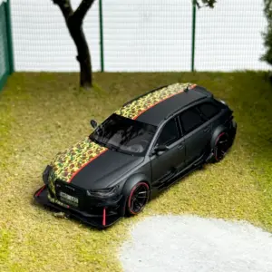 Limited Edition Resin Audi RS6 DTM Model