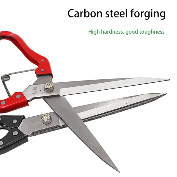30cm Stainless Steel Sheep and Pet Trimmer - Image 4