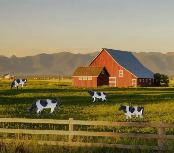 10pcs 1:87 HO Scale Model Cows for Layout - Image 6