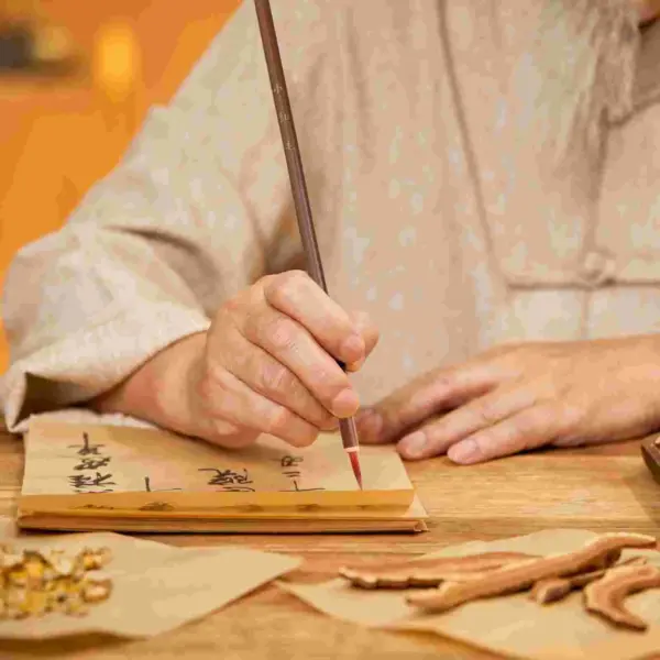 10 Pcs Chinese Calligraphy Brush Pens Set - Image 4