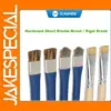 Sunshine SS-022B Anti-Static Cleaning Brush