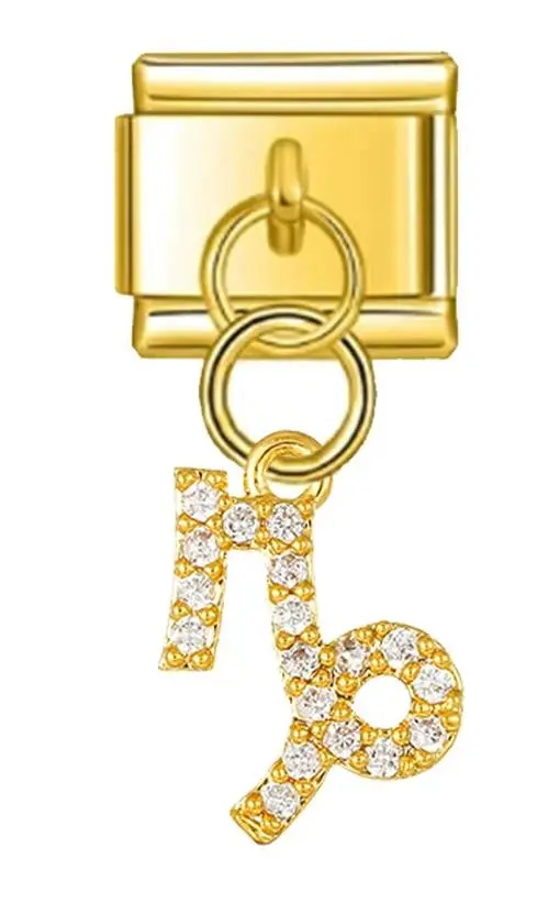 Zodiac Sign Stainless Steel Charm Bracelet 12 Zodiac Sign Stainless Steel Charm Bracelet - Image 12