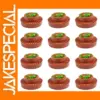 Model GY35 12pcs N OO O Scale Flowerbeds