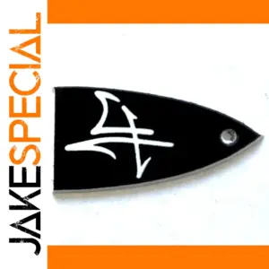 Black Truss Rod Cover for Guitar Accessories