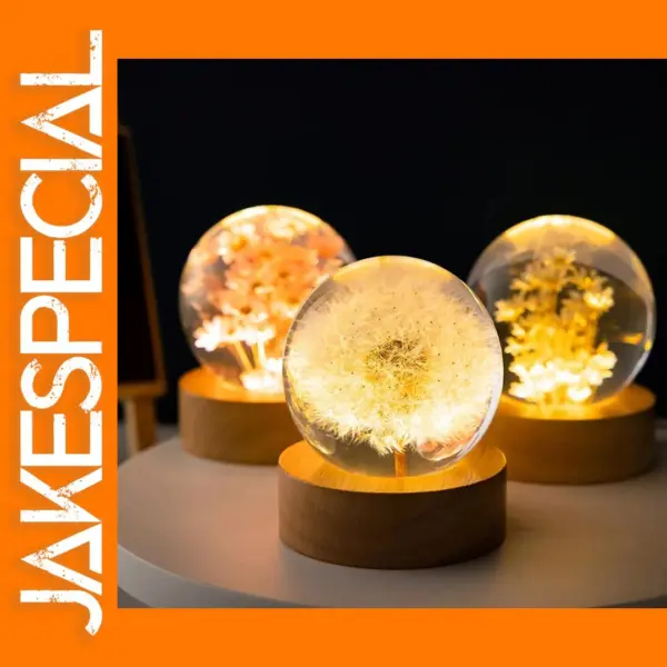 3D Dandelion Glass Ball Night Light