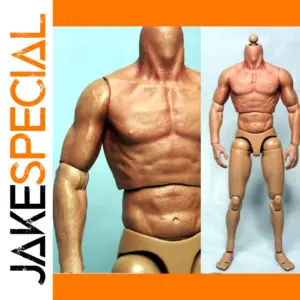 1/6 Scale Military Body Figure Muscular S002