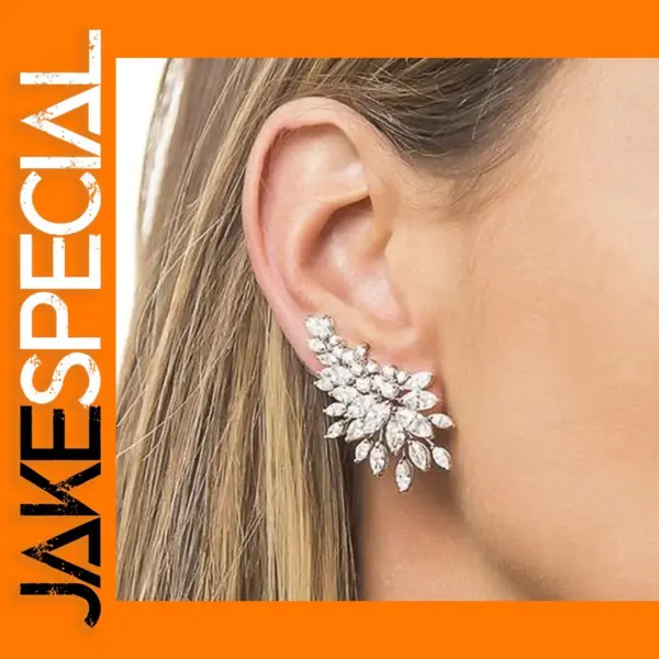Trendy Women's CZ Stud Earrings Pair