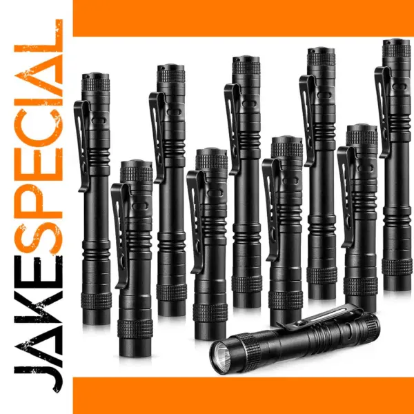 Mini LED Pen Flashlight with AAA Battery