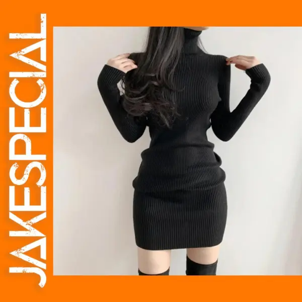 Women’s Autumn Winter Turtleneck Mini Dress