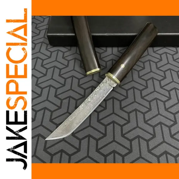 Damascus Tanto Blade Knife with Ebony Handle