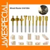 HSS Milling Router Bit for Dremel Tools