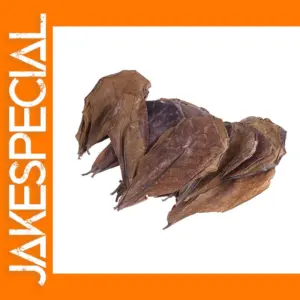 20 Pieces Indian Almond Tree Leaves for Aquariums