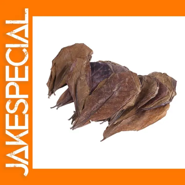 20 Pieces Indian Almond Tree Leaves for Aquariums
