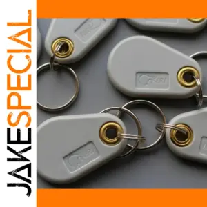 125KHz EM4305 T5577 RFID Key Fob 10 Pack