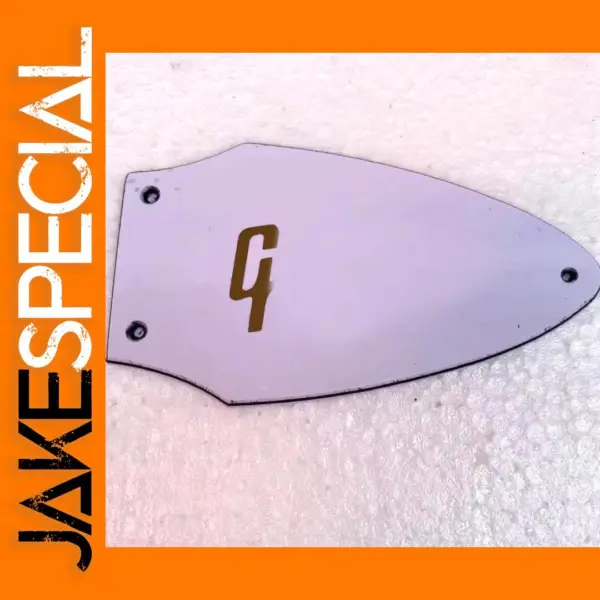 FV Truss Rod Cover for Guitar Accessories