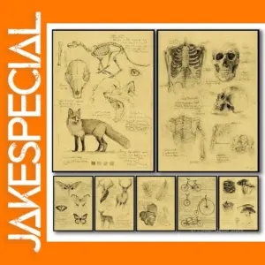 Vintage Vulpes Skeleton Art Poster A4/A3 Sizes