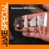 Mini Damascus Blade Folding Knife with Cover