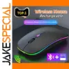 DIXSG Bluetooth Rechargeable Dual Mode Mouse for Laptop and iPad