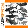 Shark Whale Educational Model for Display