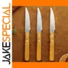 Stainless Steel Boning Knives Set with Wood Handles