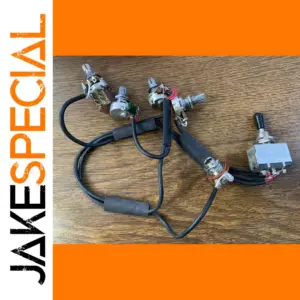 Electronic Control System for Electric Guitar