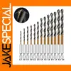 13PCS Twist Drill Bit Set for Wood and Metal
