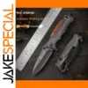 Stainless Steel Meat and Fruit Cutting Knife