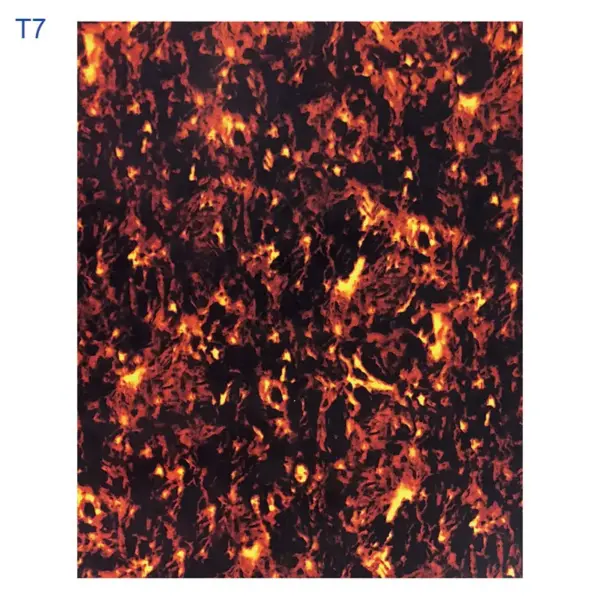 Xinyue 29x19cm Acoustic Guitar Pickguard Sheet - Image 8