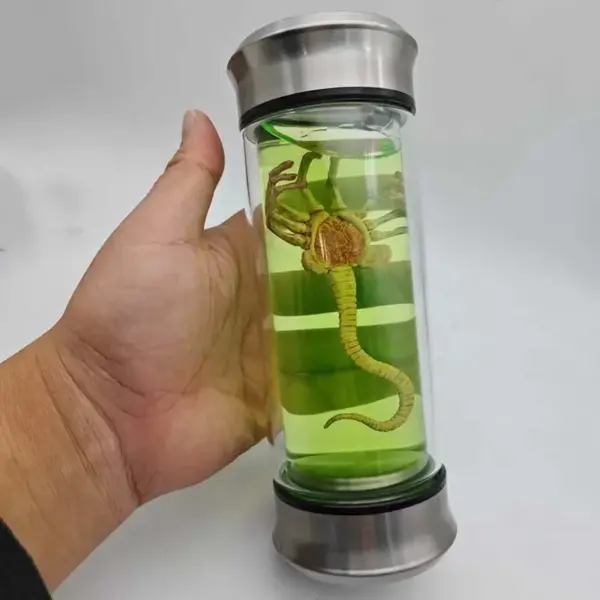 1/6 Scale Alien Chestburster Model Display - Image 9