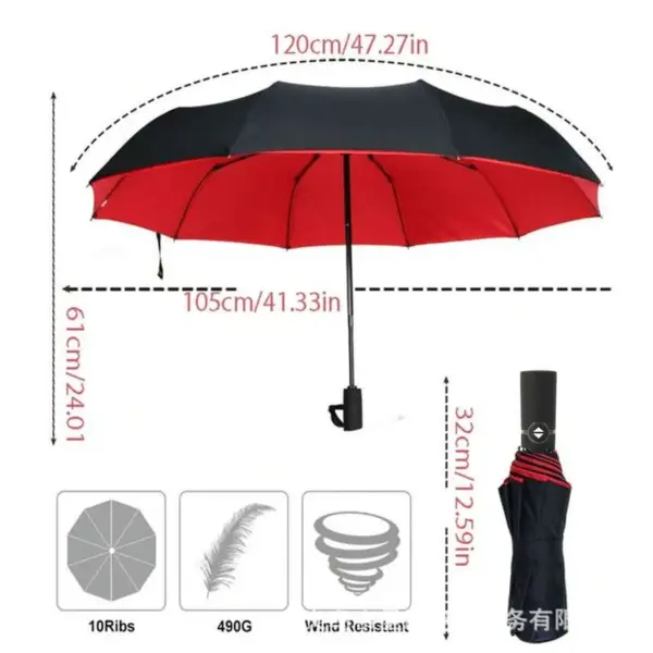 Automatic Double Layer Umbrella 10 Ribs for Adults - Image 4