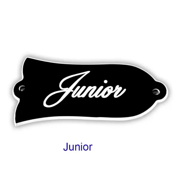 Custom Gibson Les Paul Truss Rod Cover Plate - Image 26
