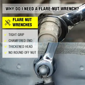 S0f8049d2d0164e2f8f8a623612e54daaz 1