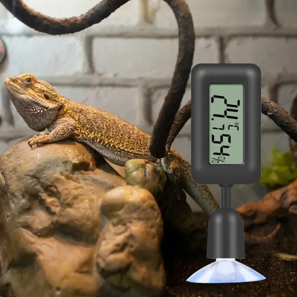 Reptile Thermometer Hygrometer with Suction Cup - Image 2