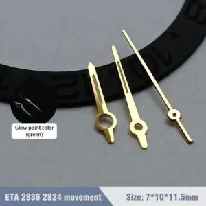 S146b700c55fa413ba513d80f59e30b66n 1