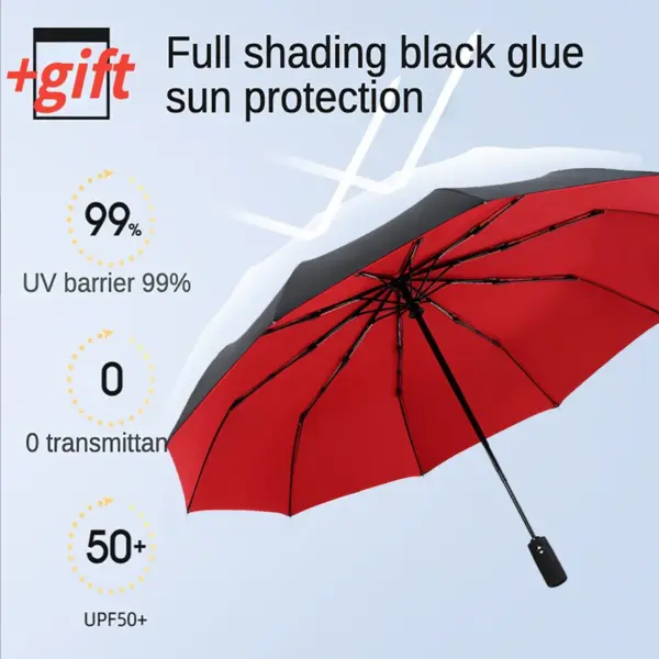 Automatic Double Layer Umbrella 10 Ribs for Adults - Image 3